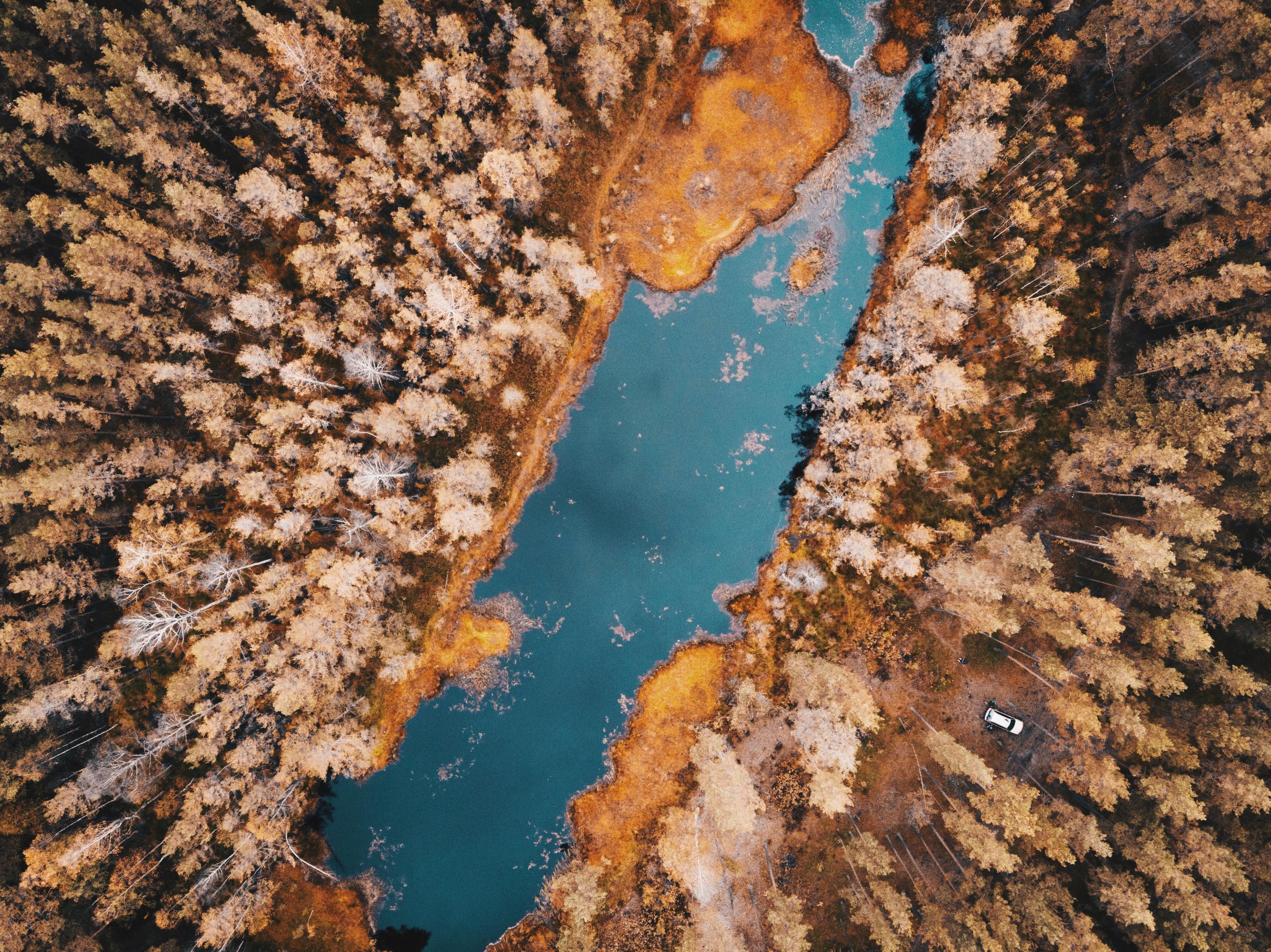 nikita-kachanovsky-DXj9KrzecHo-unsplash.jpg